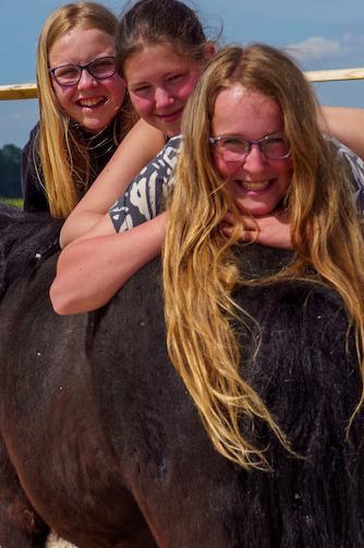 Juni 2 - Ponyhof Wochenende (3 Tage)